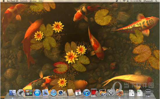 Koi Pond 3D