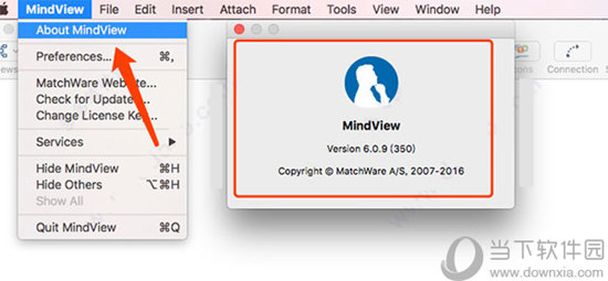 MindView 6