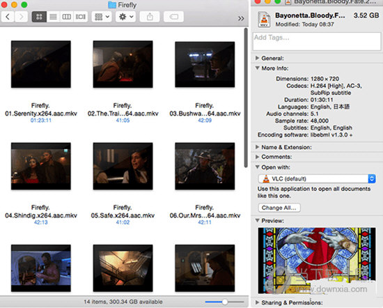 QuickLook Video