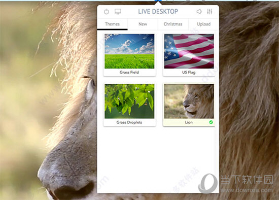 Live Desktop