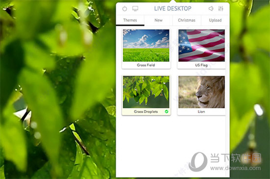 Live Desktop