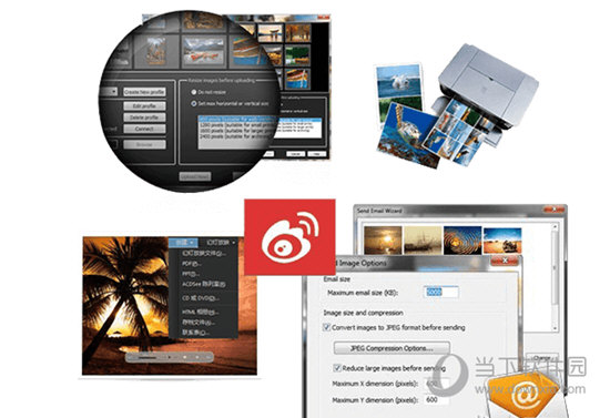 ACDSee Pro