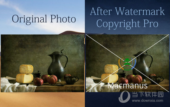 Watermark Copyright Pro