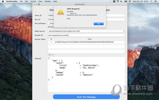 OwnProvider