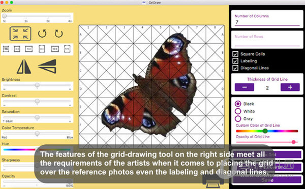 GridDraw