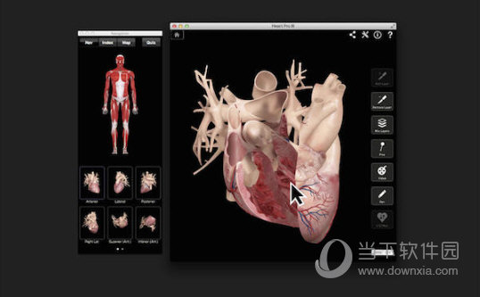 Heart Pro III
