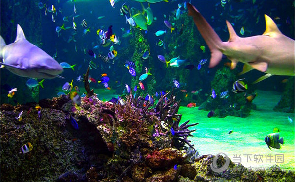 水族馆HD