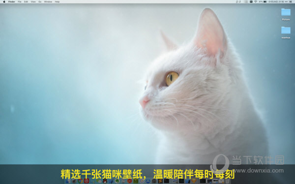 喵喵壁纸Mac版