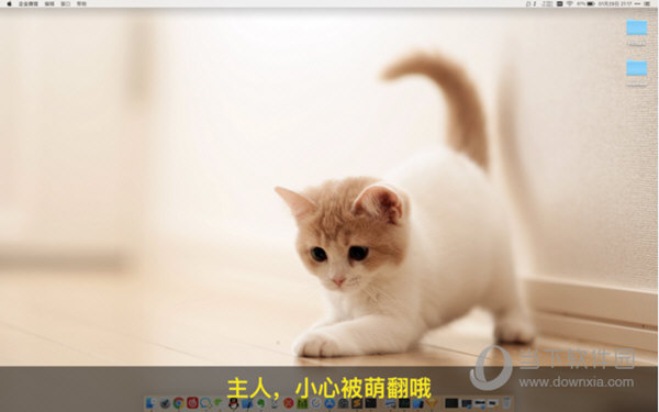 喵喵壁纸Mac版