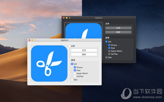 AppIcon