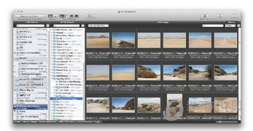 Tri-CATALOG