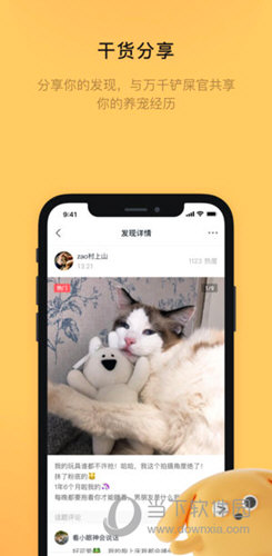 宠明APP
