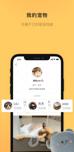 宠明APP