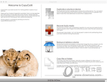 CopyCatX
