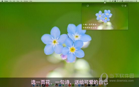 花見