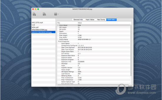Any File Info