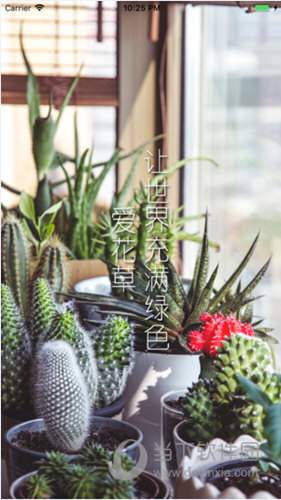 爱花草iOS版