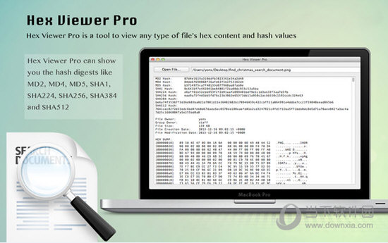 Hex Viewer Pro(十六进制查看器) V1.3.1 Mac版