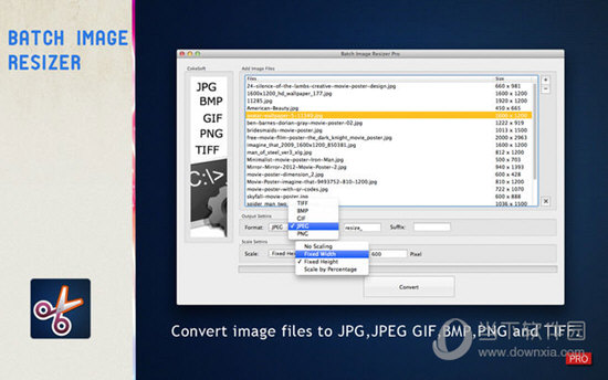 Batch Image Resizer Pro