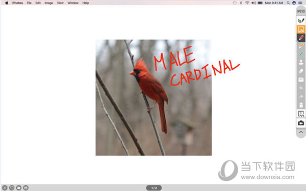 IPEVO Annotator Mac版