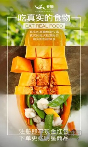 春播