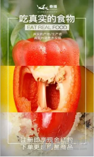 春播APP