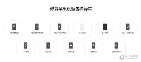 疯师傅苹果修复大师