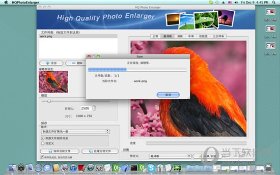 HQ Photo Enlarger