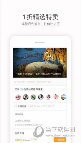 彩贝壳
