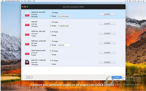 PDF Converter for Word