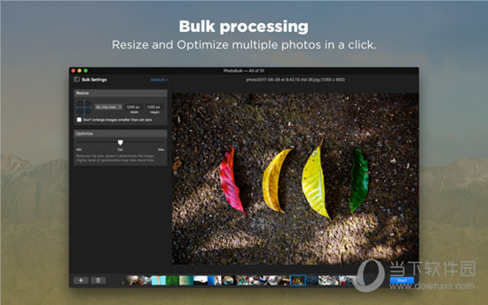 PhotoBulk