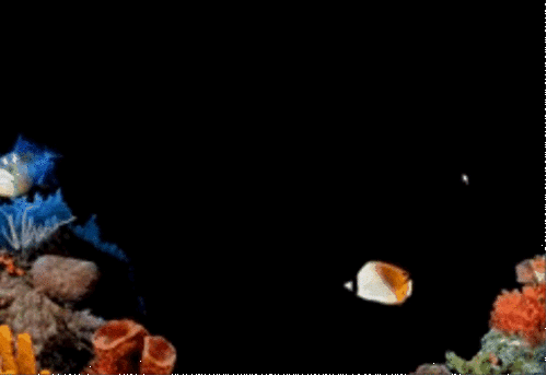 海底世界屏保