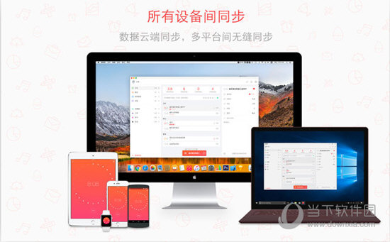 小番茄