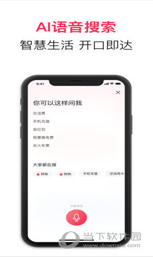 翼支付