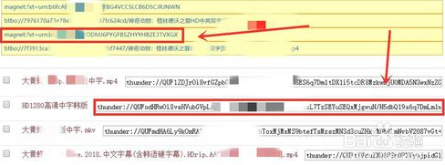 迅雷5.8绿色共存版(高速修改)