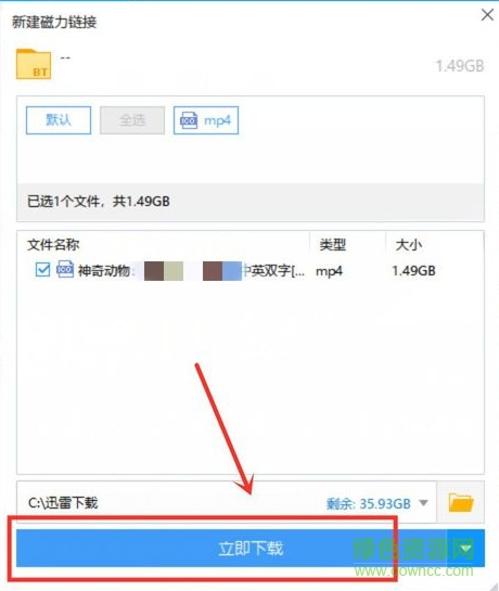 迅雷5.8绿色共存版(高速修改)