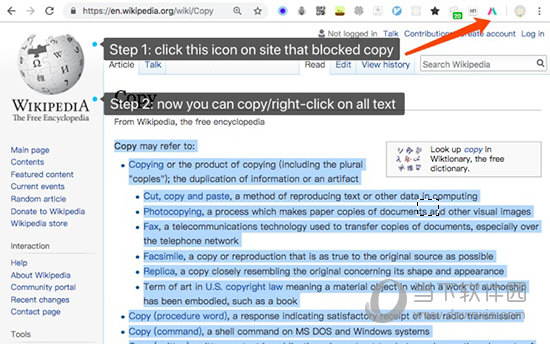 Simple Allow Copy最新版