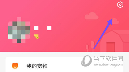 68宠物个人中心