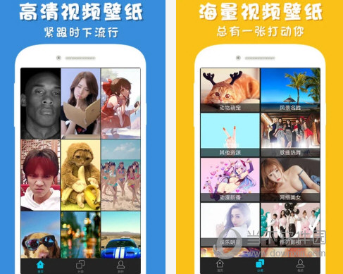 彩蛋视频壁纸电脑版