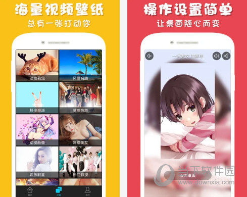 彩蛋视频壁纸电脑版