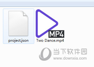 project.json