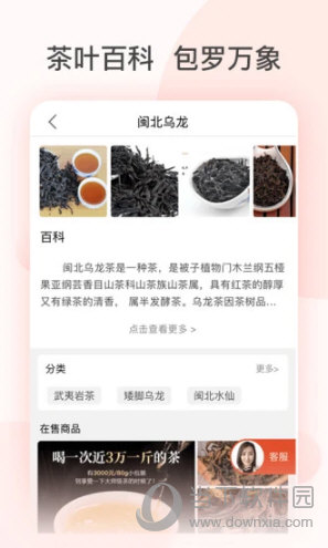 茶吉送苹果版