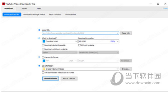 YouTube Video Downloader Pro