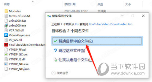 YouTube Video Downloader Pro