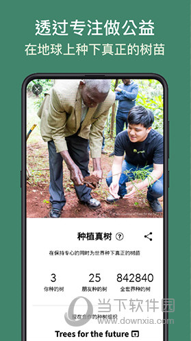 Forest专注森林