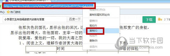 冰点文库下载器去广告单件版