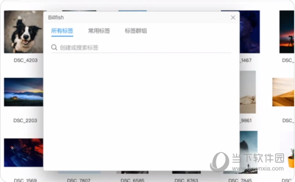 Billfish素材管理工具MAC版