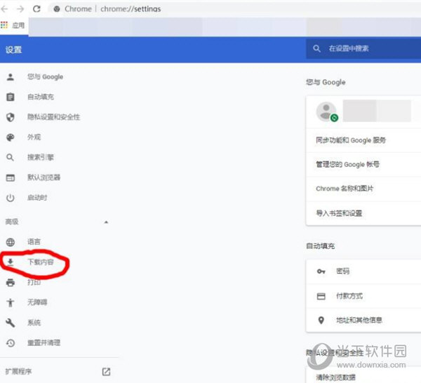 谷歌浏览器开发版