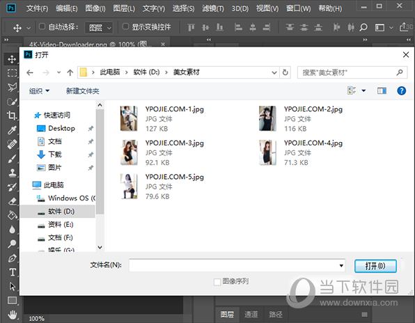 FastPictureViewer Codec Pack