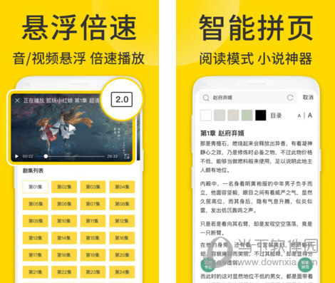 ViaX浏览器电脑版